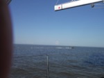 resIMG_20150503_075126_1575.JPG
